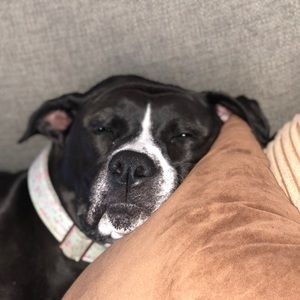 Meet your Posher, Matthew